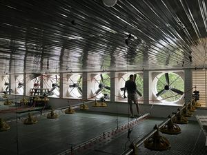 Alimentador automático de pollos AGRIESO, equipo para pollos de engorde, <span class=keywords><strong>bebedero</strong></span> de pezón, Control de clima, solución de ventilador de ventilación de refrigeración - Product Image 6