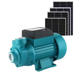 Pequeñas Bombas de Agua Solares DC 12V/24V con Impulsor de Cobre Qb60 <span class=keywords><strong>Bomba</strong></span> <span class=keywords><strong>Sumergible</strong></span> Autocebante de Una Sola Etapa para Superficie - Product Image 4