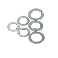 High Quality DIN127 Spring Washers Zinc Plated Made in China
