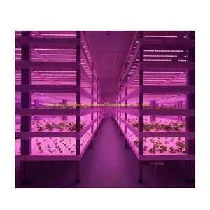Intelligente Landwirtschaft Pflanzenfabrik Container bodenloser Anbau organische Gemüse-Hydroponik