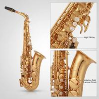 Wholesale/OEM/Factory Price Professional Performance of Alto Saxophone in Brass Flat E-key, Wind Instruments for Adult Beginners