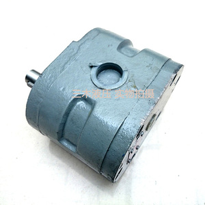 Pompe à engrenages Luosheng Hy01, 1 étage, en fonte, pompe de surpression électrique, pompes hydrauliques - Product Image 1