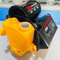 Pompe à eau auto-amorçante domestique à levage élevé 220V-pour l'extraction de l'eau de puits et le renforcement des canalisations d'eau du robinet