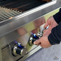 Cuisine extérieure modulaire écologique en acier inoxydable SS304 avec robinet, cave à vin, grills BBQ, contrôle intelligent en résine pour appartement