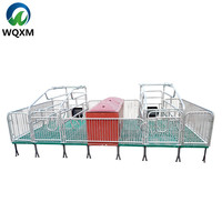 Équipement d'élevage porcin : Cages pour truies, caisses de mise bas, caisses d'élevage/d'allaitement avec mangeoires pour l'élevage de porcs