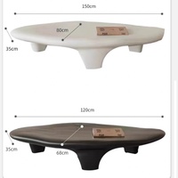 Table basse moderne et durable pour salon, idéale pour les petits appartements, avec plateau en plastique renforcé de fibres de verre, meubles pour la maison