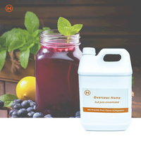 Konsentrat Cair Rasa Blueberry Alami Grade Makanan untuk Smoothie, Jus, Soda, Bebas Susu, Bebas Gluten, Kemasan Besar