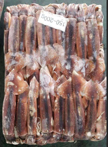 Bán buôn <span class=keywords><strong>illex</strong></span> mực hải sản toàn bộ vòng đông lạnh mực mồi cho câu cá hấp dẫn giá trong bao bì số lượng lớn - Product Image 5