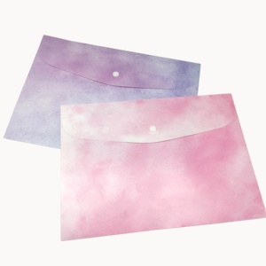 Nhà Máy Bán Buôn In A4 Tập Tin Nhựa Thư Mục Hình Dạng Phong Bì Với Nút Snap Cho Lưu Trữ Tài Liệu - Product Image 4