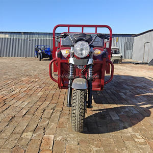 Triciclo de Carga a Gasolina de 3 Ruedas con Carrocería Abierta Fabricado <span class=keywords><strong>en</strong></span> China - Product Image 2
