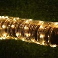 Ruban lumineux LED personnalisable WS2812B en PVC IP44, étanche pour extérieur, avec boîte à piles et télécommande pour jardin, terrasse, cour