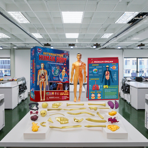 Gốc phát triển đồ chơi DIY giáo dục đồ chơi giải phẫu con người thân cơ thể giải phẫu mô hình cho giảng dạy đồ chơi cho trẻ em - Product Image 1