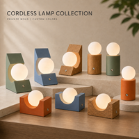 Lampe de table globe moderne sans fil rechargeable DC, à intensité variable tactile, lumière de couleur personnalisable pour restaurant, hôtel, chambre à coucher