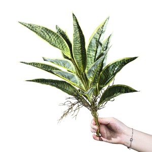 Planta de Serpiente Artificial Mengjie Handicrafts de 30cm-100cm, PVC Suave con Raíces, Decoración Interior y Exterior - Product Image 5