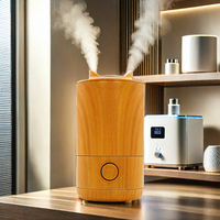 Vente directe usine Chine : Humidificateur ultrasonique portable de bureau 800 ml, diffuseur d'aromathérapie à brume froide avec bouton, pour usage domestique et hôtelier
