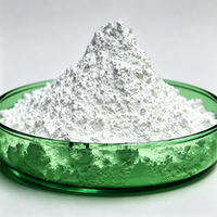 Polvo de Alúmina Gamma Nano Al2O3 de Grado Electrónico Ultra Blanco con una Pureza del 99.9% de la Marca ZXY para Recubrimiento de Relleno Termoconductor