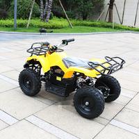 Quad 4x4 chinois 1000cc pour enfants, roues A4, Raptor, démarrage électrique, carrosserie en acier, 36V, scooter pour enfants de 3 à 12 ans