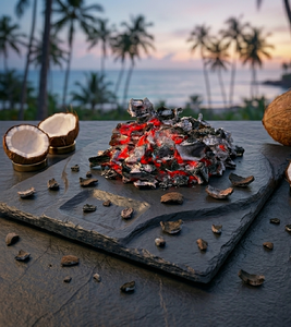 Charbon de coco haute performance conçu pour la production de briquettes, l'utilisation énergétique et les solutions de carbone premium à l'exportation - Product Image 4