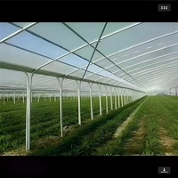 Vente en gros Serre d'extérieur GT Grande serre commerciale agricole multi-travée avec cadre en métal pour plantes