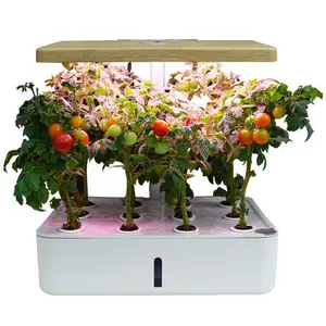 Ein heißes Produkt der Intelligent Flower Hydro ponic Planter mit LED-Beleuchtung