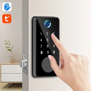 APP Remotely Phone Control Factory Delivery Smart Fingerprint Digit Cabinet Lock Smart Lock Manufacture Smart Lock Deadbolt