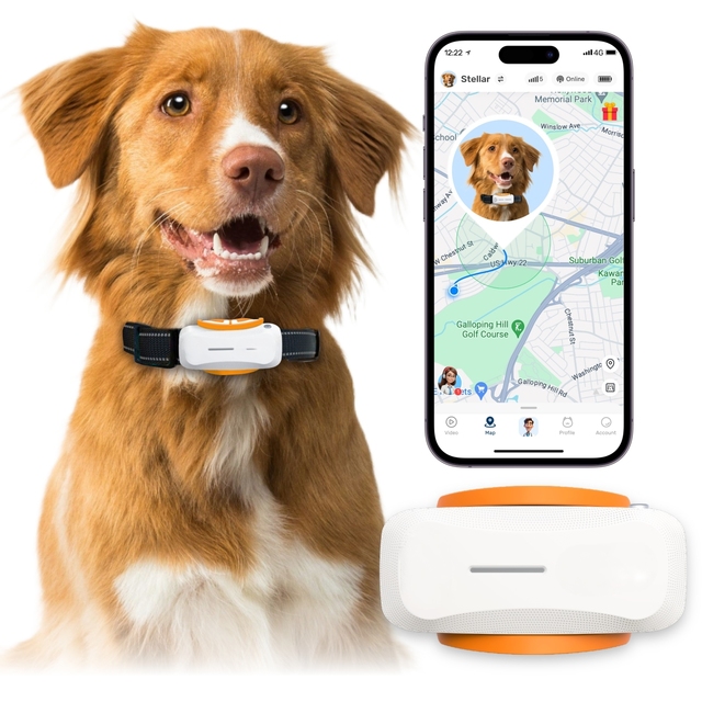 Smart Dog Collar GPS Silicone Plastic Real-Time Tracking Geofence Alerts LED Light Sound Prompts Health Monitor AI Diagnosis