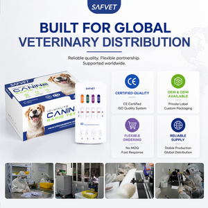 Tiras Reactivas Veterinarias 4DX para Perros, Ehrlichia, Anaplasma, Babesia, Dirofilariosis, Kit de Prueba de Diagnóstico Rápido, Proveedor con Certificación CE e ISO - Product Image 3