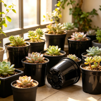 Pots de pépinière en PP noir pour plantes de jardin, petits pots écologiques et durables de 1 gallon