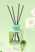 Diffuseur de parfum d'ambiance OEM/ODM 100 ml à bâtonnets d'huiles essentielles, faible MOQ, ensemble diffuseur d'huiles parfumées sans flamme pour aromathérapie
