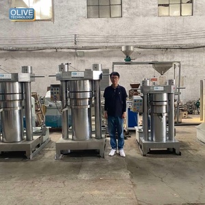 Máquina Prensa de Aceite Hidráulica Automática de Venta Rápida, Pequeña Escala, para Aceite de Nuez y Sésamo - Product Image 1