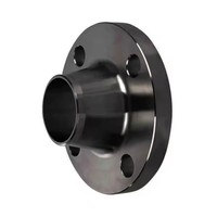 Flensa Baja Tempa Sambungan Las Butt-Welding dan Socket-Welding dengan Permukaan Poles, Ukuran Sesuai Pesanan, Kelas Tekanan 150-2500 API