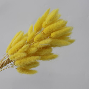Ramo de Flores Secas de Cola de Conejo en Degradado de Colores Populares para Decoración de Bodas y Regalos, Lagurus Ovatus - Product Image 5