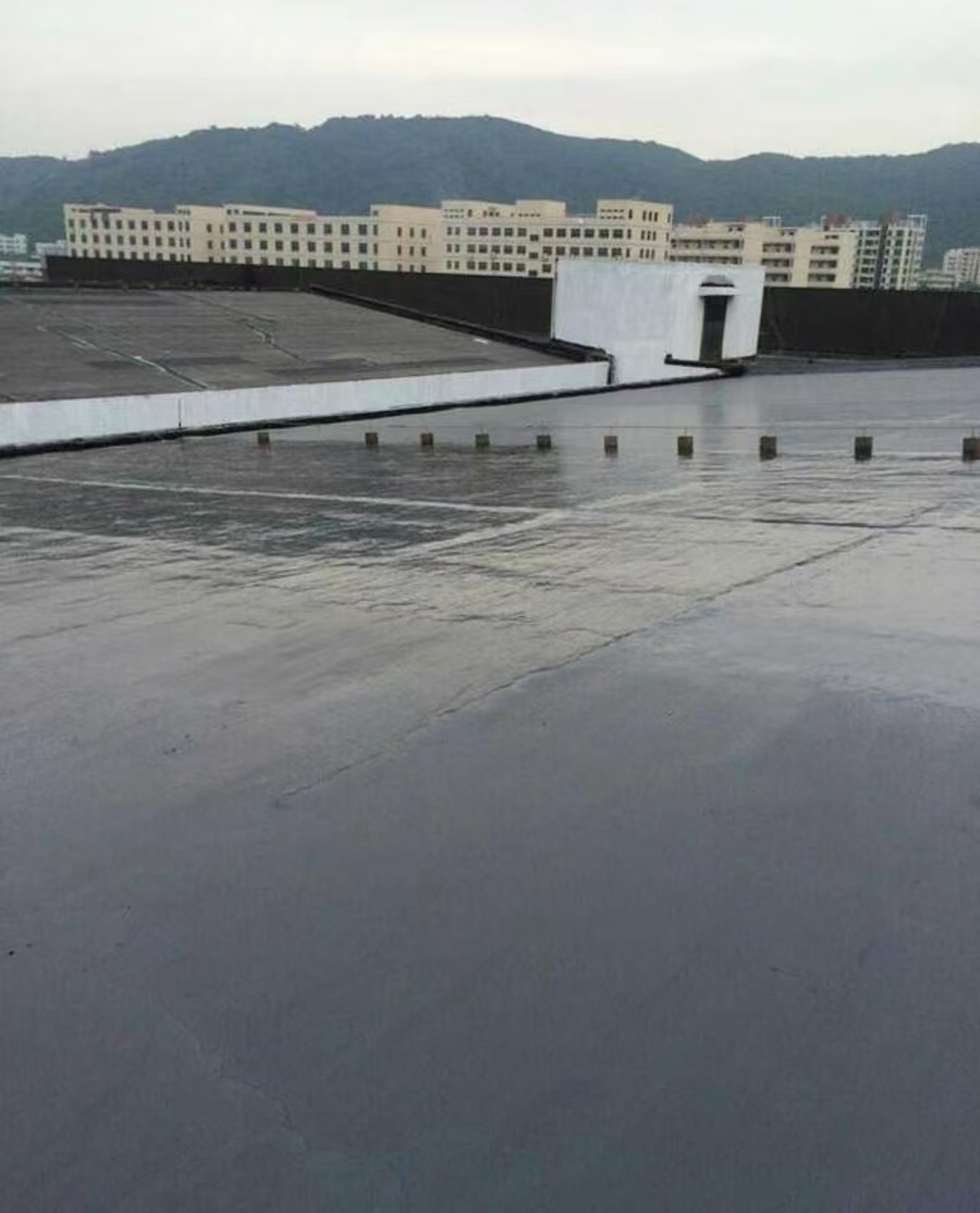 Building Coating Modern Designed Polyurethane Waterproof for Various Buildings Basement