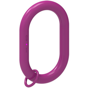 Anneau de levage de type D Rud Hoist, capacité de levage de 10 tonnes, pour opérations d'entretien industriel - Product Image 5