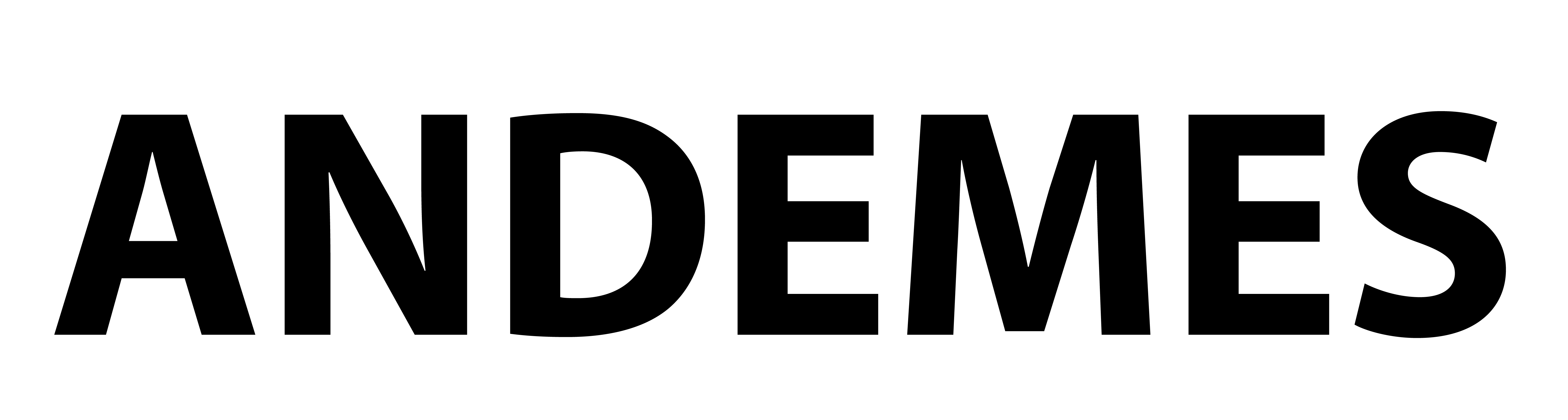 Guangzhou Andemes Technology Co., Ltd. logo