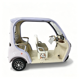 Triciclo Eléctrico de Pasajeros 2026, Vehículo Turístico Apto para Hoteles y Lugares Turísticos, Triciclo Eléctrico LSV Tipo Abierto - Product Image 3
