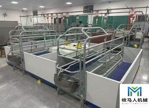 Lit de maternité pour porcelets, enclos de gestation pour truies, box de mise bas pour truies, cage de mise bas pour truies, lit de maternité pour porcelets - Product Image 5