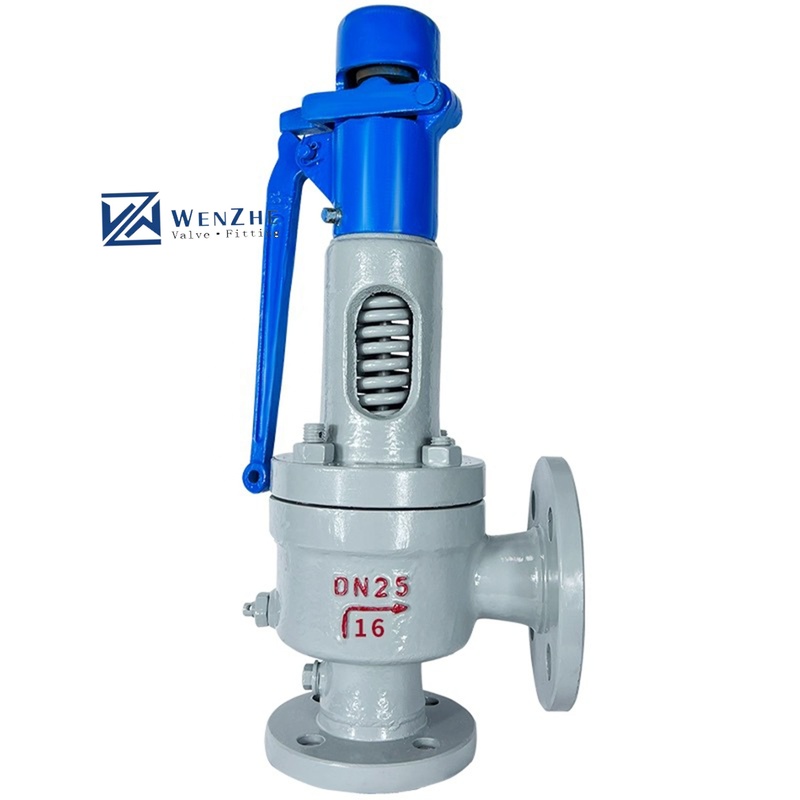 WZ Steam Boiler Full Lift Pressure