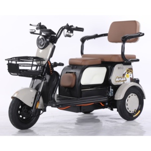 Nhà Sản Xuất Của Nóng Bán Giá Thấp Thương Hiệu Mới Hành Khách Ba Bánh Điện 2 Chỗ Ngồi Ngắn Khoảng Cách Mua - Product Image 5