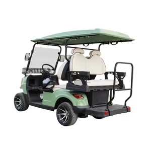 HKBG Nuevo Buggy de Estilo Atrevido, Motor de 48V/5000W, 30-50 Km/H, 1-2 Plazas, Carro de Golf con Batería de Litio, Faros LED, Personalizable, Nuevo 35 K - Product Image 3