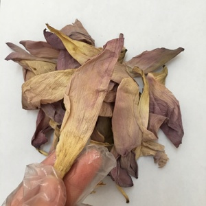 ดอกบัวสีชมพูธรรมชาติ 4008 เฮ่ยฮวา (<span class=keywords><strong>Nelumbo</strong></span> <span class=keywords><strong>Nucifera</strong></span>) สำหรับชงชา - Product Image 1