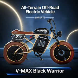 Vélo de montagne électrique 20 pouces 500W tout-terrain 48V 15Ah Lithium 7 vitesses Dérailleur Pneus larges Suspension avant E VTT pour adultes - Product Image 6