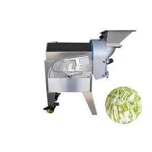 Fruit and vegetable root slicing and dicing machine