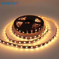 Lampu LED Strip Pixel 10mm 12V RGB Warna-warni FW1934 SMD5050 60Leds/m IP67 Kontrol Jarak Jauh untuk Dekorasi