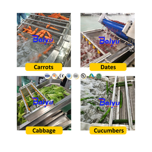 Ligne de lavage et de traitement des légumes industrielle Baiyu avec machine de nettoyage à bulles et de séchage pour usage en usine - Product Image 5