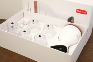 Mesin Terapi Bekam Listrik Canggih Airende 9 Tingkat Pijat Gua Sha Kelas II Perangkat Fisioterapi Perawatan Kesehatan Pabrik - Product Image 4