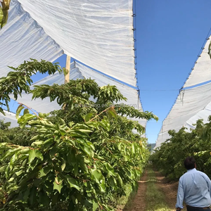 Clips en plastique agricole <span class=keywords><strong>pour</strong></span> relier les filets d'ombrage, crochets en C noirs, connecter les œillets avec un filet métallique - Product Image 6