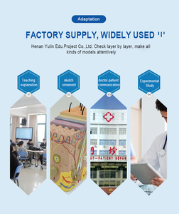 Modèle stéréoscopique 3D de la peau brûlée, modèle médical de la structure de la peau humaine, modèle d'enseignement des blessures, comparaison des brûlures pour l'éducation médicale CE/ISO - Product Image 5