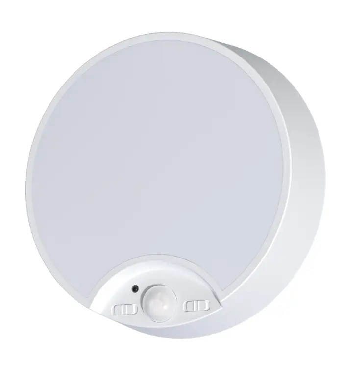 New Item LED Cabinet Small Ceiling Lamp led Motion PIR sensor ON-AUTO-OFF Remote control DIM and CCT