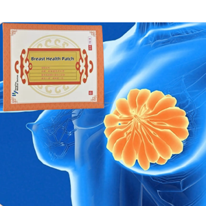 하이 퀄리티 전통 중국 의학 석고 유방 증식 관리 진통제 올인원 패치 - Product Image 2